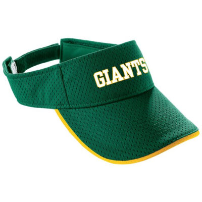 Athletic Mesh Two-Color Visor Thumbnail